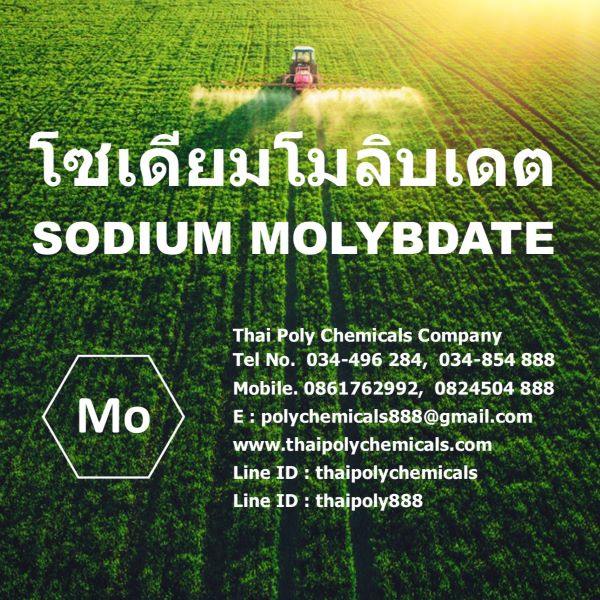 Sodium Molybdate, Molybdenum, Micronutrients, โซเดียมโมลิบเดต, โซเดียมโมลิบเดท, ผงจุลธาตุโมลิบดินัม