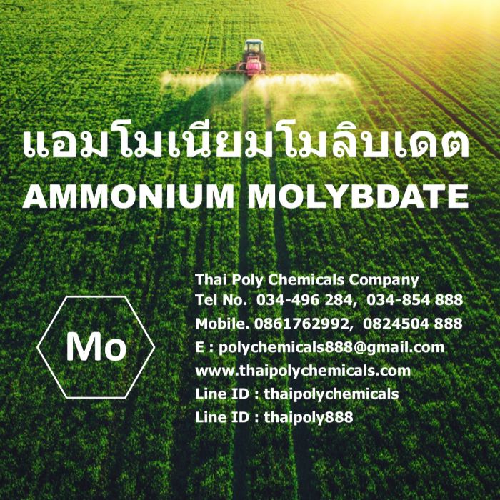 Ammonium Molybdate, Molybdenum, Micronutrients, แอมโมเนียมโมลิบเดต, แอมโมเนียมโมลิบเดท, ผงจุลธาตุโมลิบดินัม