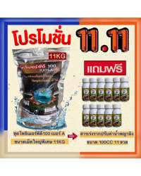 สารอุ้มน้ำโพลิเมอร์พีดี100 ขนาดเม็ดใหญ่พิเศษ 11กก แถมฟรี สารเร่งรากพญาลิงขนาด 100ซีซี 11ขวด ใช้กับพืชทุกชนิด 0