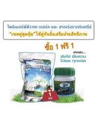 เซตคู่สุดคุ้ม โพลิเมอร์พีดี100 (เม็ดกลาง)ใช้คู่กันการสารปรับค่าน้ำให้เป็นกลาง ช่วยการสร้างรากปลอดสารพิษ 0