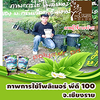 โพลีเมอร์-พีดี-100โพลิเมอร์-สารอุ้มน้ำพีดี100เบอร์aความประทับใจจา