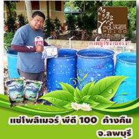 โพลีเมอร์-พีดี-100ปลูกยางพาราใช้โพลิเมอร์-สารอุ้มน้ำ-พีดี-ความประทั