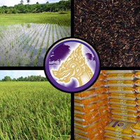 ขายสินค้าเกษตรข้าวกล้องไรซ์เบอรี่-riceberry-อินทรีย์-ข้าวสินเหล็ก-s