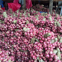 ขายสินค้าเกษตรหอมแดง-ปลีก-ส่ง